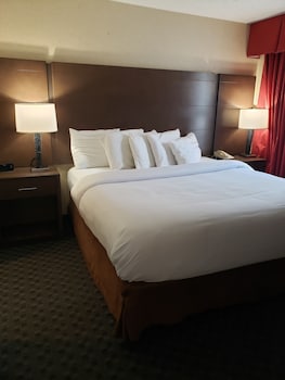 Standard Suite, 1 King Bed with Sofa bed, Jetted Tub (One-Bedroom)