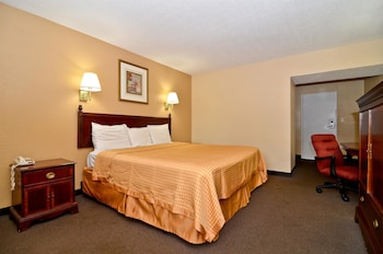 Room, 1 King Bed, Smoking