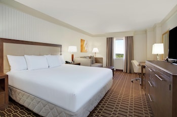 Room, 1 King Bed with Sofa bed, Non Smoking