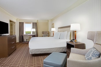 Suite, 1 King Bed