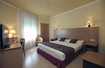 Standard Double Room Single Use