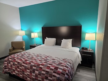 Room, 1 King Bed