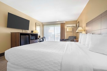 Standard Room, 1 King Bed, Non Smoking, Refrigerator & Microwave