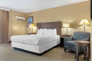 Standard Room, 1 King Bed, Non Smoking, Refrigerator & Microwave (Larger Room)