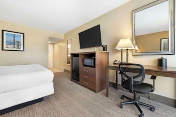 Standard Room, 1 King Bed, Non Smoking, Refrigerator & Microwave