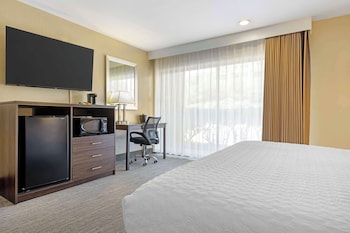 Standard Room, 1 King Bed, Accessible, Refrigerator & Microwave
