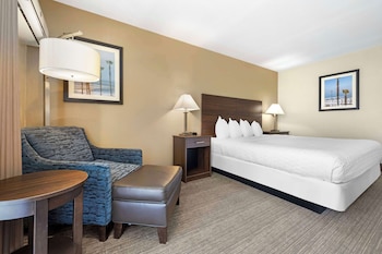 Standard Room, 1 King Bed, Non Smoking, Refrigerator & Microwave (Larger Room)