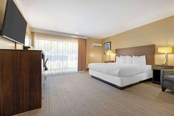 Standard Room, 1 King Bed, Accessible, Refrigerator & Microwave