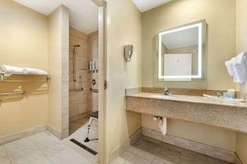 Standard Room, 1 King Bed, Accessible, Non Smoking