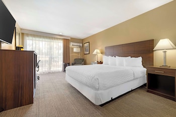 Standard Room, 1 King Bed, Non Smoking, Refrigerator & Microwave