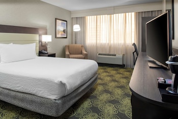 Room, 1 King Bed, Non Smoking