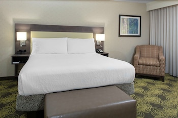 One Bedroom Suite, 1 King Bed (Balcony)