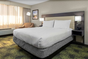 Suite, 1 Bedroom, Non Smoking
