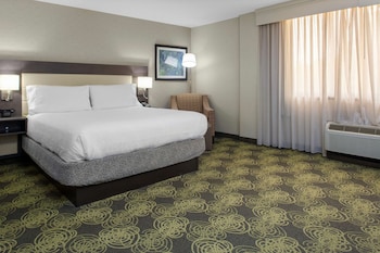 Room, 1 King Bed, Non Smoking
