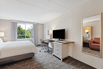 Standard Room, 1 King Bed with Sofa bed