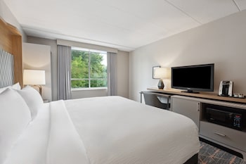 Standard Room, 1 King Bed, Accessible (Communications)