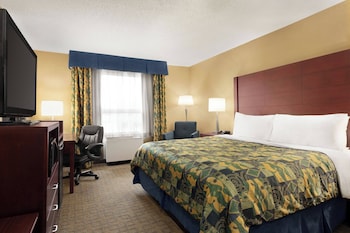 Room, 1 King Bed, Non Smoking
