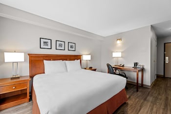 Room, 1 King Bed, Accessible, Non Smoking (Tub with Grab Bars)