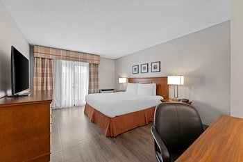 Deluxe Room, 1 King Bed, Non Smoking