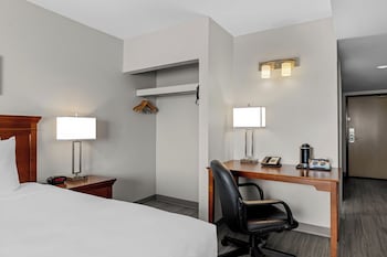 Deluxe Room, 1 King Bed, Non Smoking