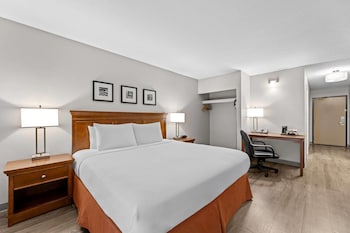 Deluxe Room, 1 King Bed, Non Smoking