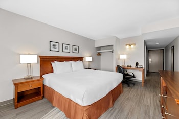 Room, 1 King Bed, Non Smoking