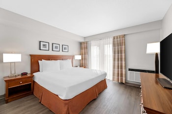 Deluxe Suite, 1 Bedroom, Non Smoking (1 King Bed)