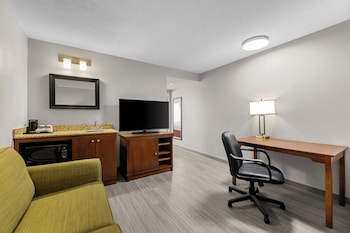 Suite, 1 Bedroom, Non Smoking (1 King Bed)
