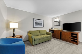 Deluxe Suite, 1 Bedroom, Non Smoking (1 King Bed)