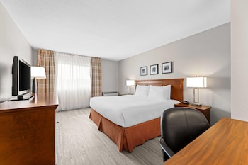 Room, 1 King Bed, Non Smoking