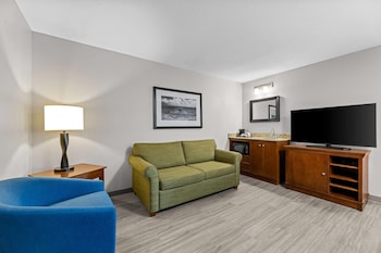 Suite, 1 Bedroom, Non Smoking (1 King Bed)