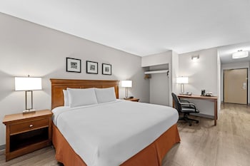 Room, 1 King Bed, Accessible, Non Smoking (Tub with Grab Bars)