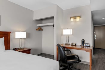 Room, 1 King Bed, Non Smoking