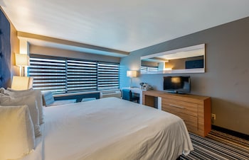 King Premier Room, 1  king bed