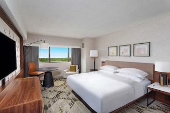 Room, 1 King Bed