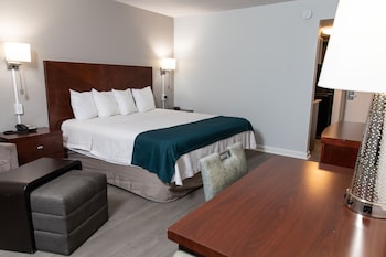 Standard Room, 1 King Bed, Non Smoking, Kitchenette