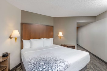 Room, 1 King Bed, Accessible, Non Smoking (Mobility, Roll-In Shower)