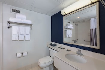 Room, 1 King Bed, Accessible, Non Smoking (Mobility, Roll-In Shower)