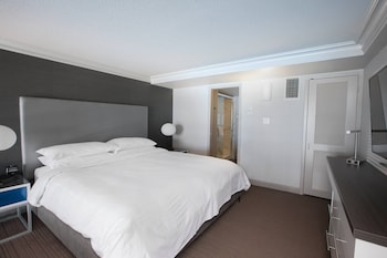 Room, 1 King Bed, City View