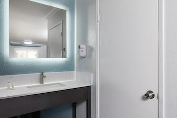 Room, 1 King Bed