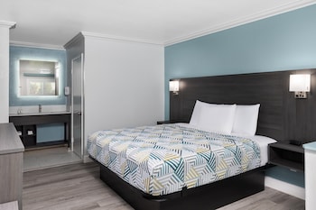 Room, 1 King Bed