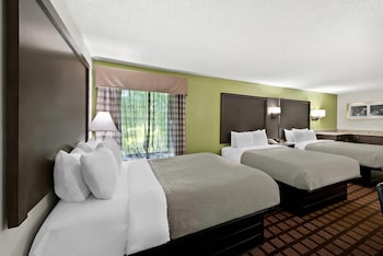 Standard Room, Multiple Beds, Non Smoking