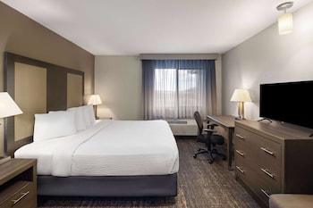 Room, 1 King Bed, Non Smoking