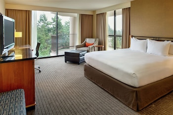 Deluxe Room, 1 King Bed, Accessible (Roll-in Shower)