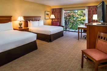 Deluxe Room, 2 Queen Beds, Accessible, Mountain View (Bathtub)