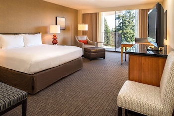 Premium Room, 1 King Bed, Balcony, Mountain View