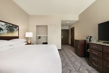 Room, 1 King Bed, Accessible, Non Smoking