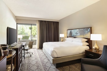 Room, 1 King Bed, Accessible, Non Smoking