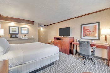 Suite, 1 Bedroom, Non Smoking
