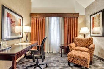 Business Room, 1 King Bed, Non Smoking (NonSmoking)